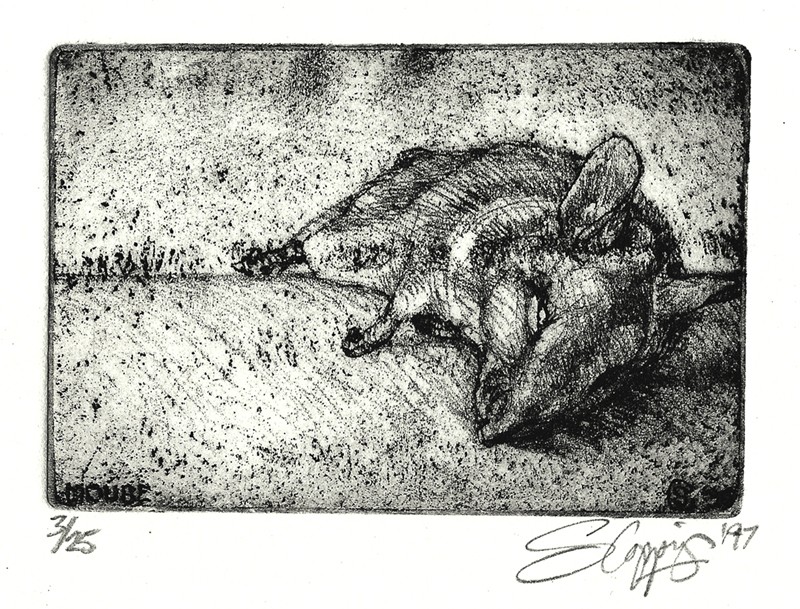 MOUSE ... a gift from the cat ... (Click to enlarge)