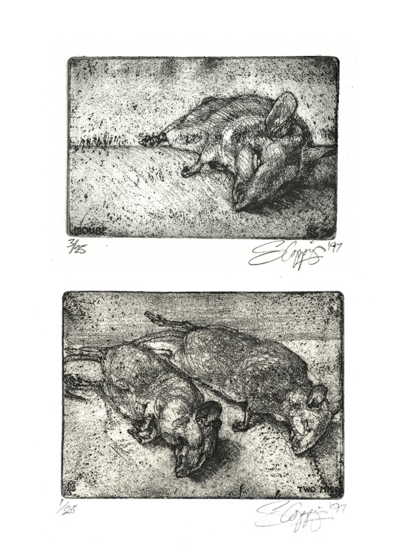 THREE BLIND MICE ... gifts from the cats ... (Click to enlarge)