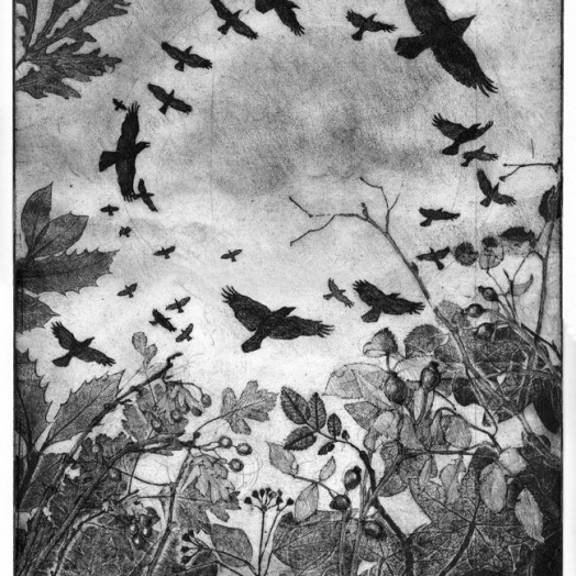 Rooks circling over the hedgerow - Soft Ground Etching - Monochrome