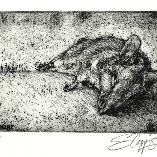 MOUSE ... a gift from the cat ... (Click to enlarge)