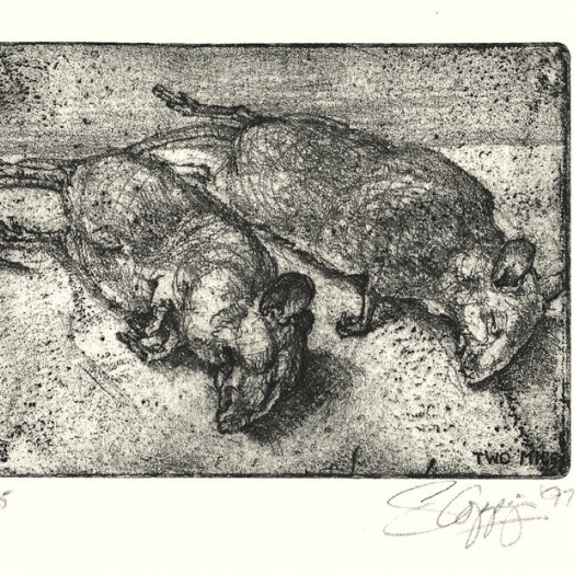 TWO MICE ... gifts from the cats ... (Click to enlarge)