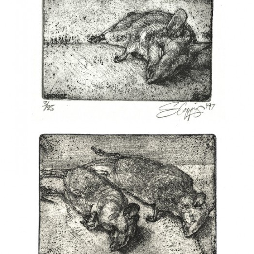 THREE BLIND MICE ... gifts from the cats ... (Click to enlarge)