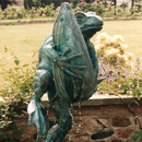... frogs have been found hugging all kinds of creatures  including fish   (Click to enlarge)