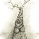 A drawing of a tree met in Camberwell.